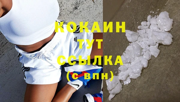 индика Кодинск
